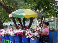 6 - Mandalay (41)